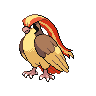 Pidgeot image