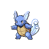 Wartortle image